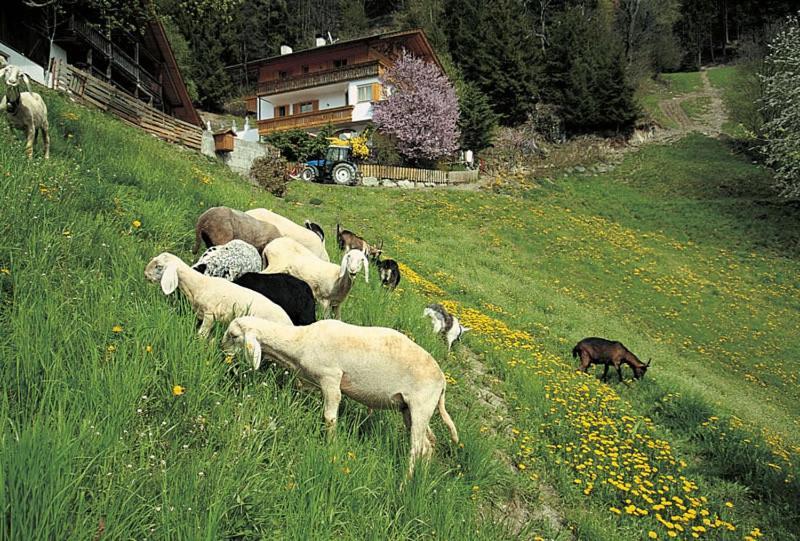 Отель Gasthof Rastlhof Скена Экстерьер фото